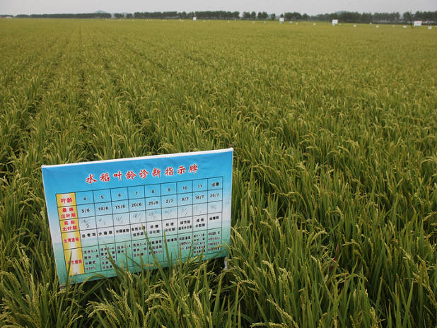 點擊瀏覽下一頁