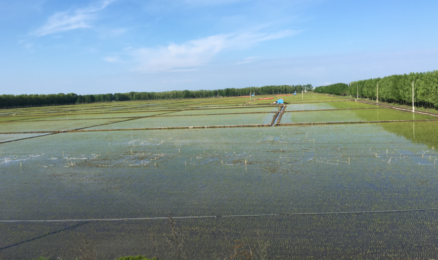 點(diǎn)擊瀏覽下一頁(yè)